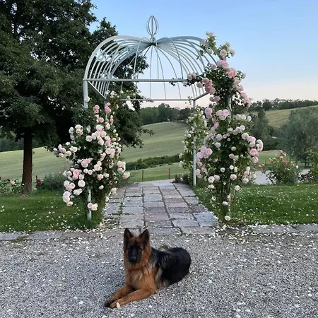 Tenuta Il Galletto 3* Casale Monferrato