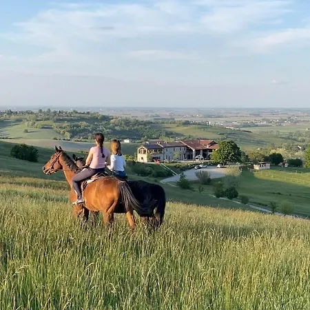 Tenuta Il Galletto