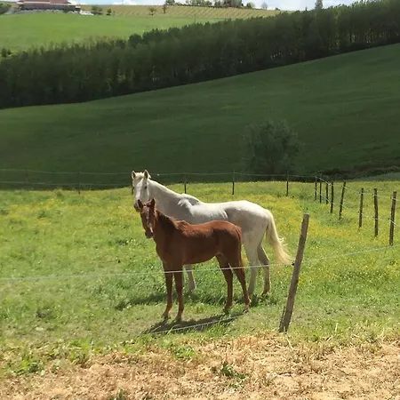 B&B Tenuta Il Galletto 4*