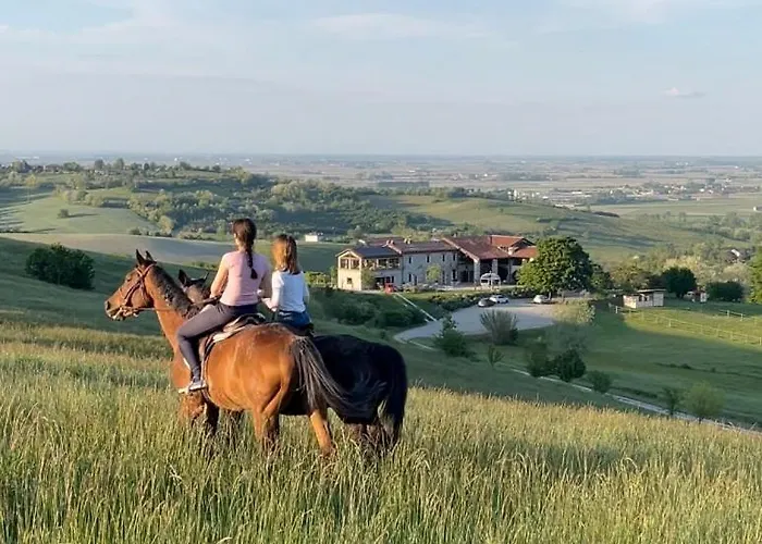 Tenuta Il Galletto